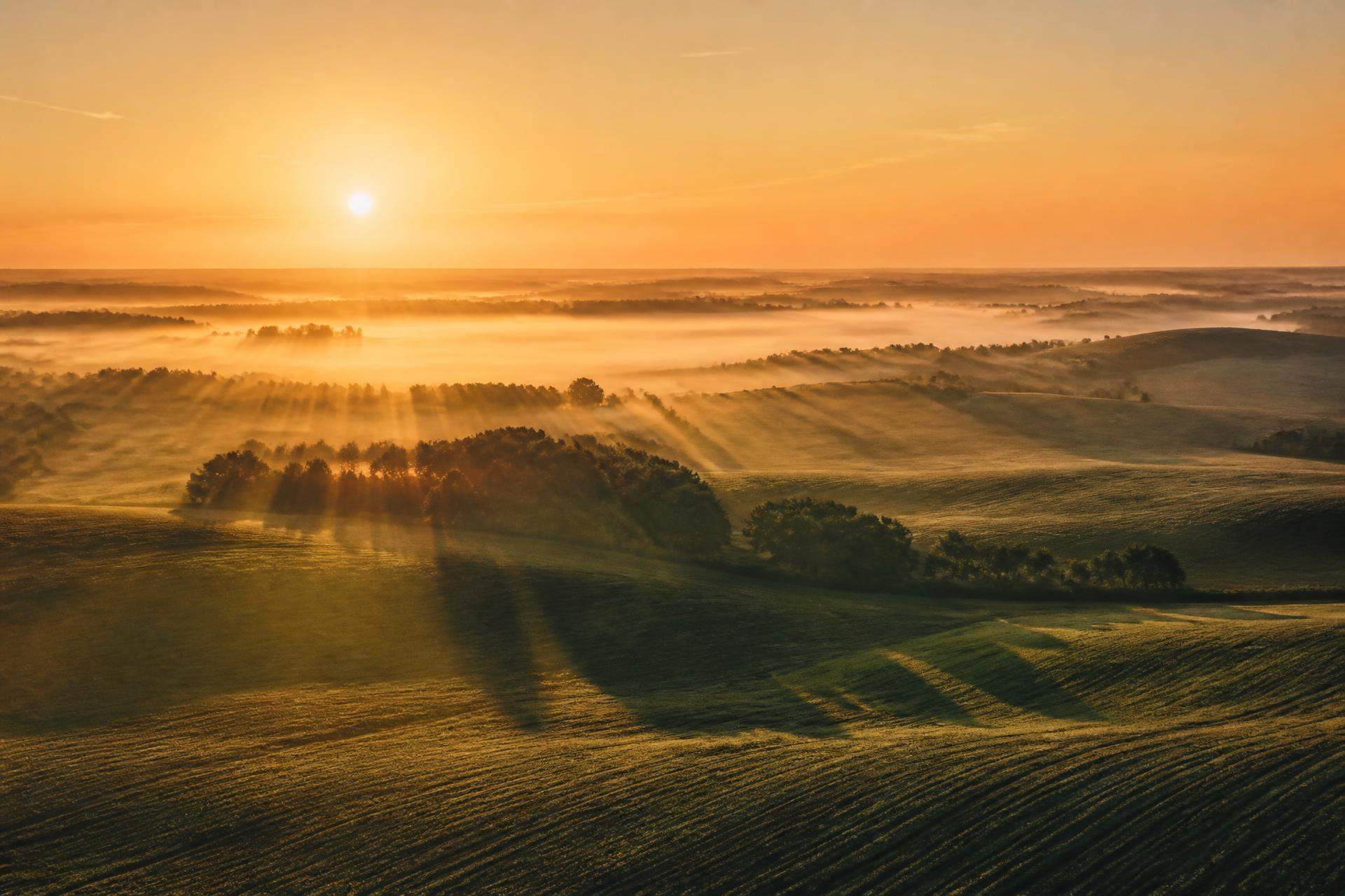 Aerial view of Midwest farmland at dawn, the agricultural base for domestic industrial hemp processing.