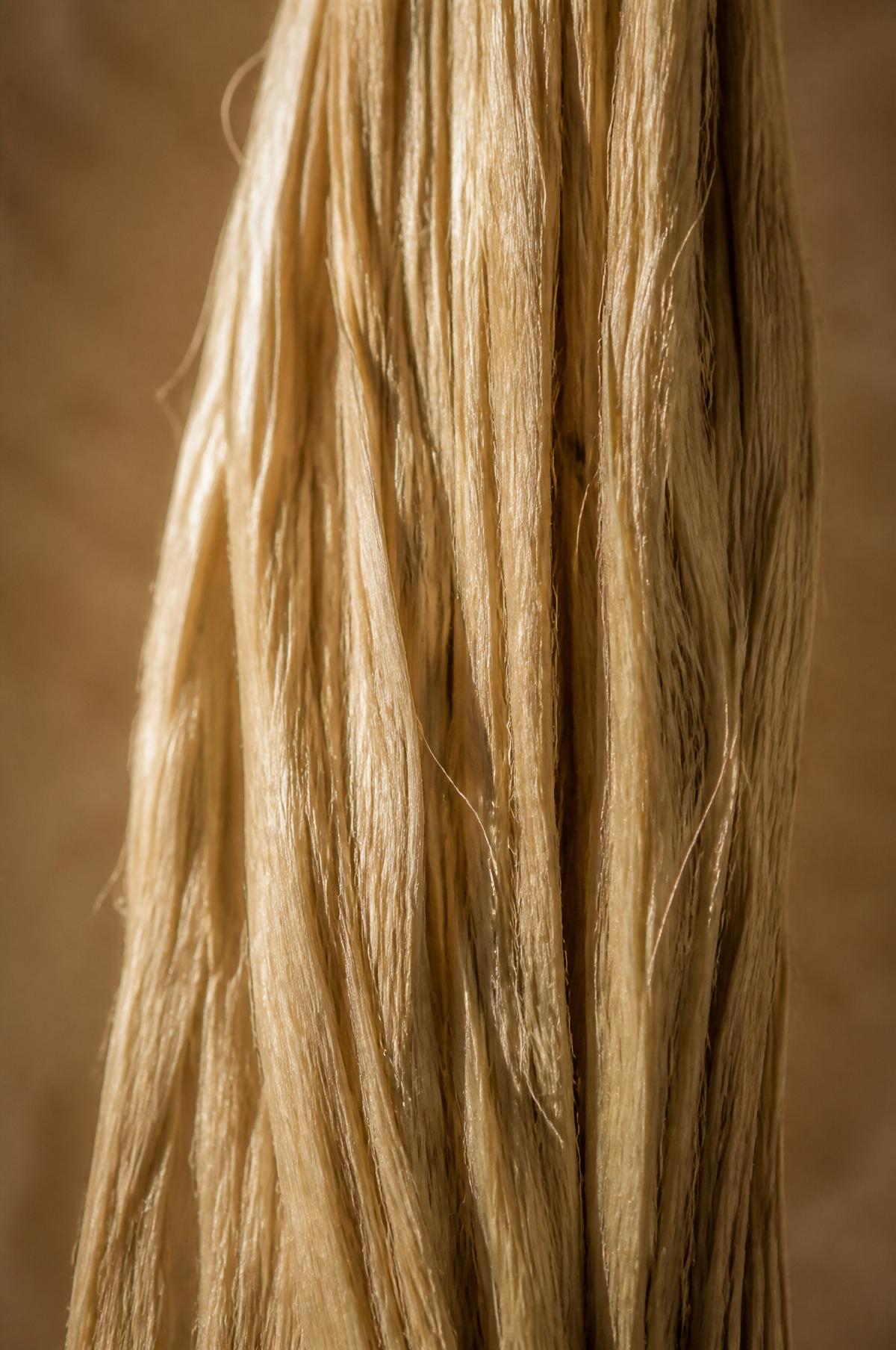 Macro study of industrial hemp bast fiber showing its natural-fiber structure.